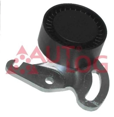 Comprar Polea tensora correa poli V Renault Clio SYMBOL LB0, LB1, LB2