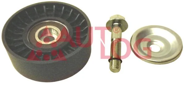 Comprar Polea inversión / guía, correa poli V Skoda Rapid  NH3, NK3, NK6