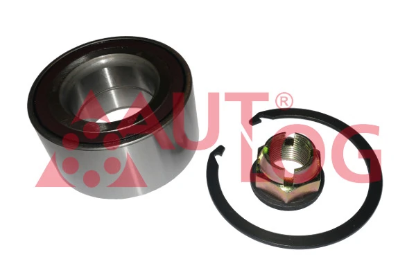 RS1389 Autlog