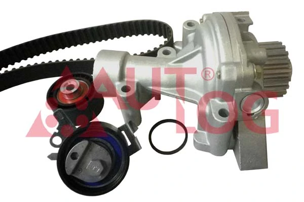 Comprar Kit de distribución Citroen Jumpy I BS, BT, BY, BZ