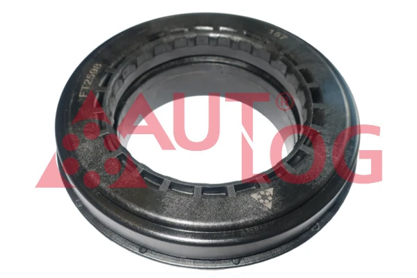 FT2598 Autlog