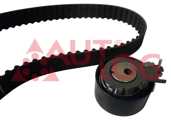 Comprar Kit de distribución Renault Twingo I C06