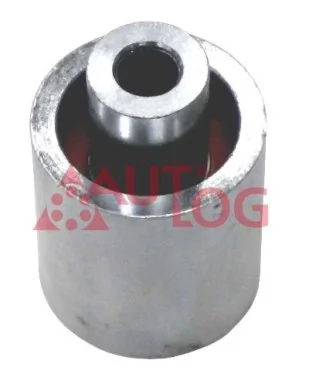 NEP31003B4G1 SNR Polea tensora intermedio de correa dentada