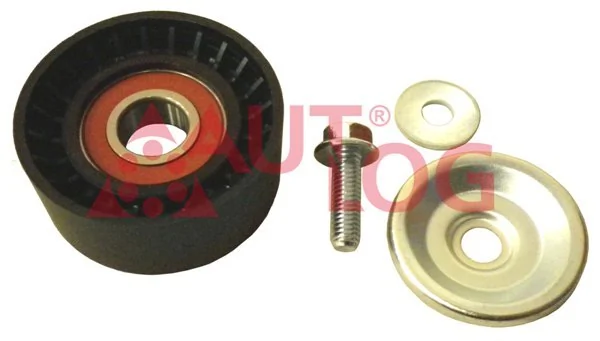 Rodillo guia Peugeot/Citroen 55494332