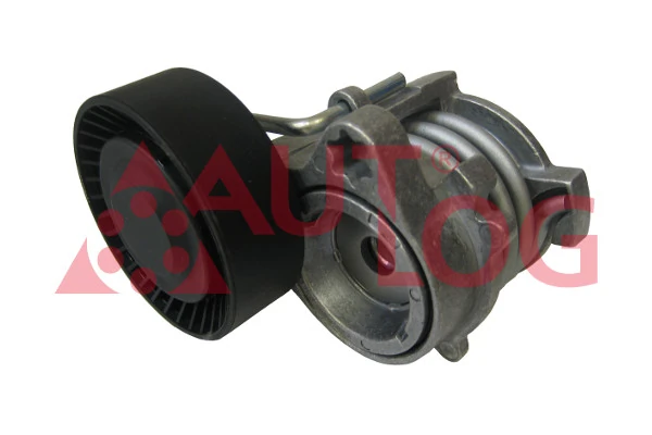  Tensor de correa poli V BMW 3 