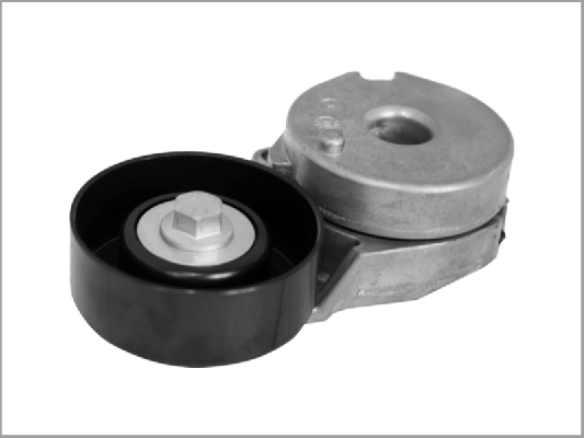 Tensor de la correa trapecial Nissan Qashqai I desde 56,36 €