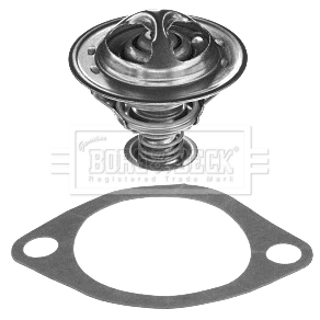 BBT251 Borg&beck Termostato de agua