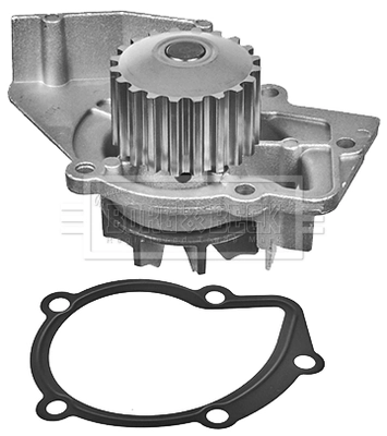 Comprar Bomba de agua Peugeot 406  8B