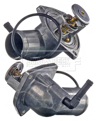 Termostato 95517668 Peugeot/Citroen