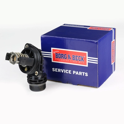 BBT521 Borg&beck Termostato de agua