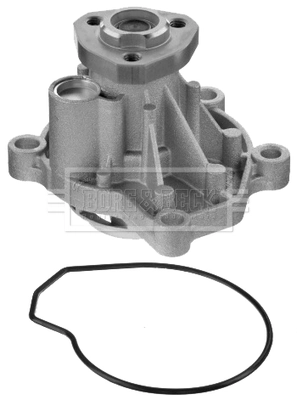 Motor de agua Peugeot/Citroen 1623109080
