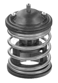 Termostato refrigerante BMW 7 