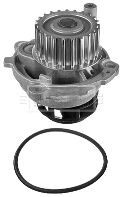 Comprar Bomba de agua Volkswagen Passat B6 3C2