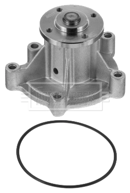 Bomba de agua 1623109480 Peugeot/Citroen