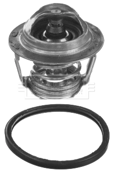  Termostato Chevrolet Captiva 2