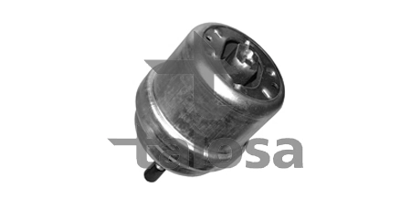 6105334 Talosa