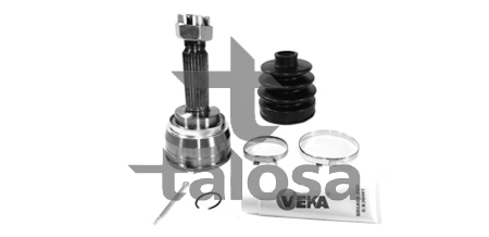 77MI1001 Talosa