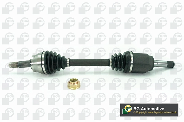 DS2203L BGA