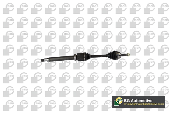 DS2300R BGA