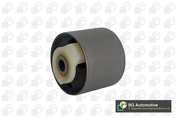 BU4209 BGA