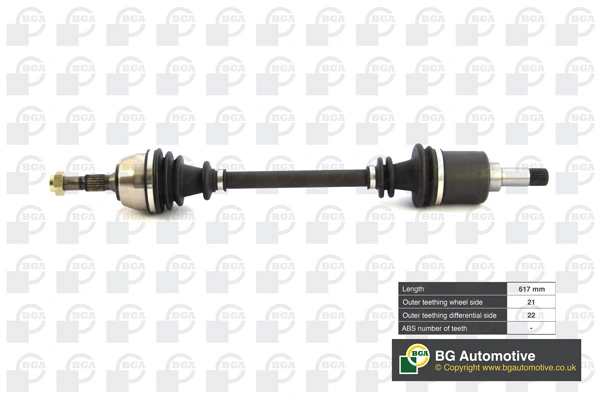 DS1432L BGA
