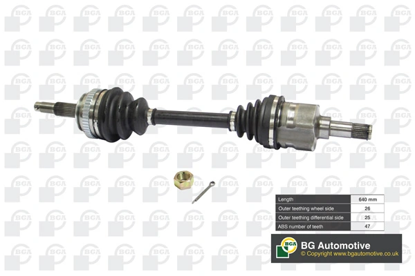 DS1300L BGA