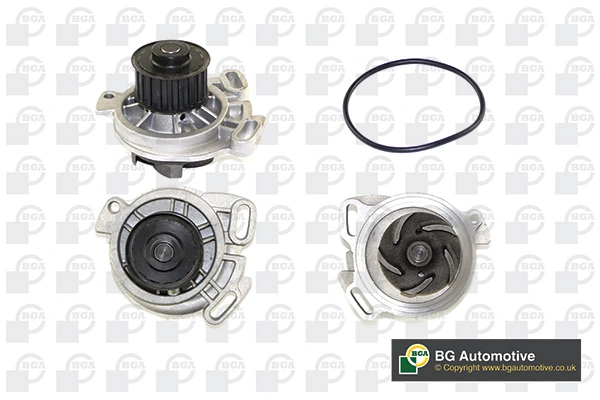 Motor de agua Magneti Marelli MPQ1191