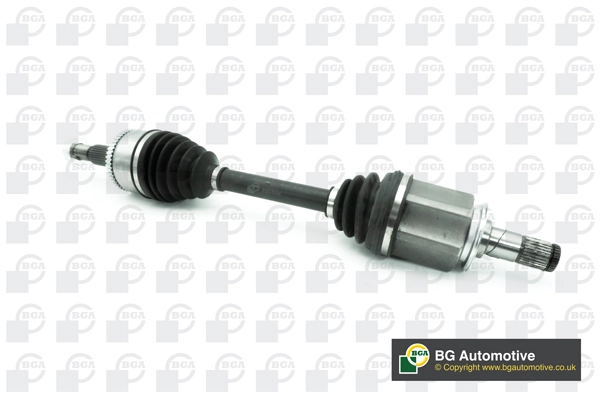 DS4206L BGA