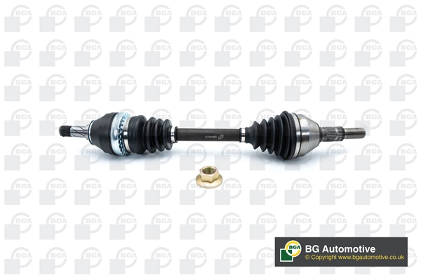 DS9511L BGA