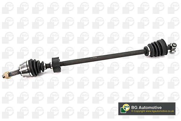 DS2202R BGA