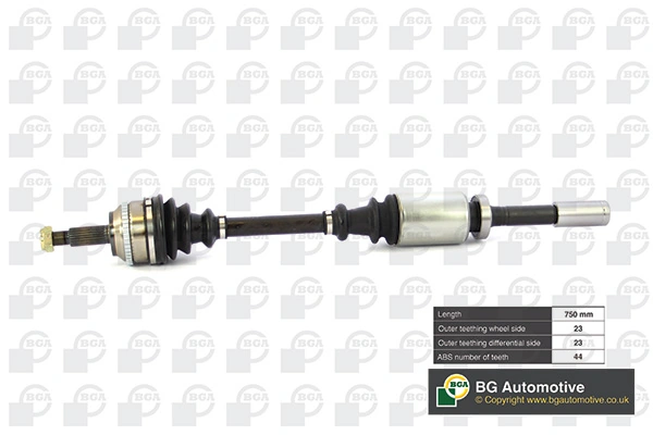 DS7303RA BGA
