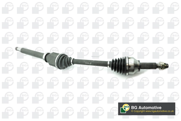 DS2318R BGA