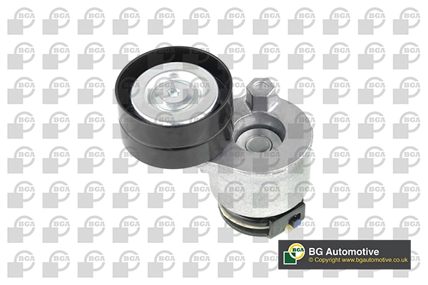 Comprar Tensor de correa poli V Laguna II BG0, BG1