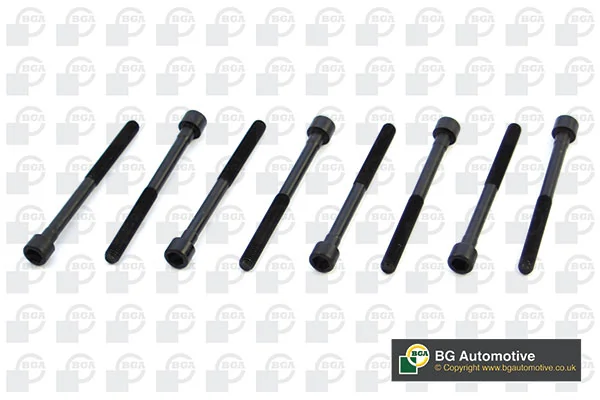 Juego tornillos culata Nissan Qashqai I desde 32,39 €
