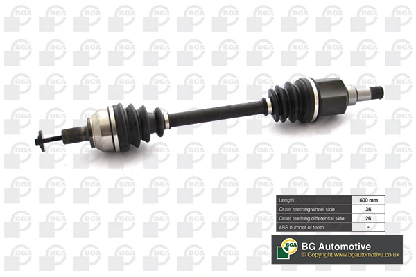 DS2321L BGA