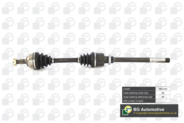 DS1410R BGA