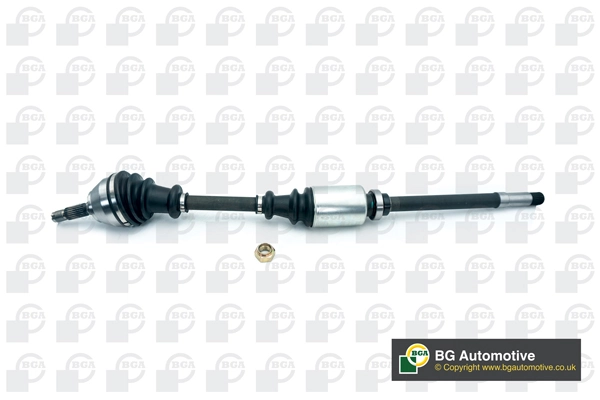 DS1402R BGA