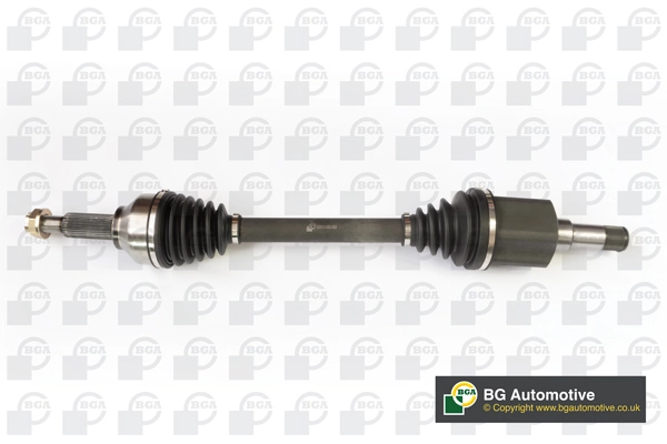 DS2318L BGA