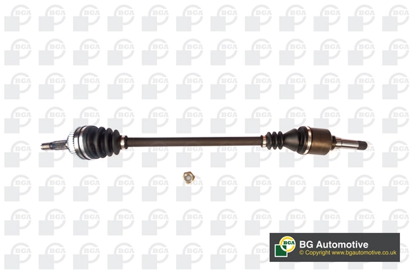 DS4206R BGA