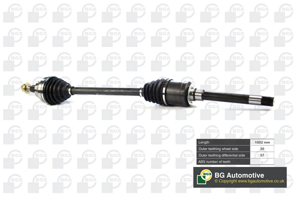 DS5601R BGA