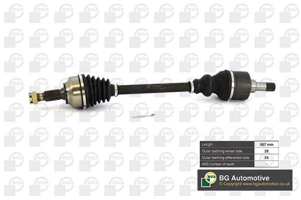 DS6736L BGA