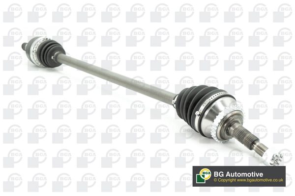 DS9560R BGA