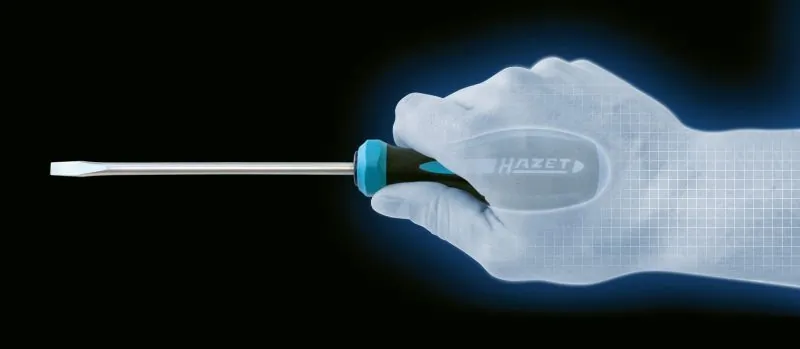 8025 Hazet 