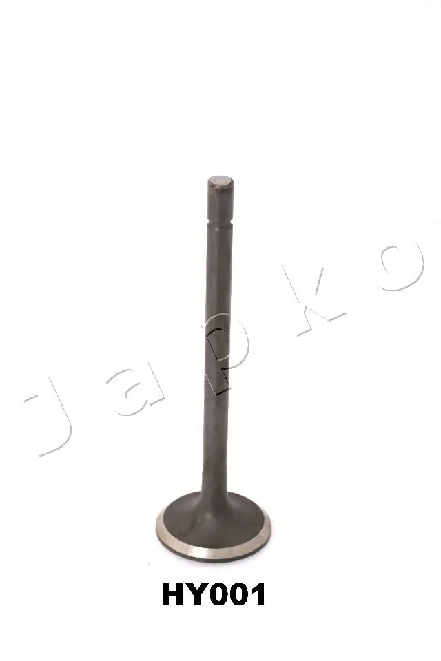 5HY001 Japko
