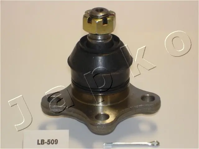 53509 Japko