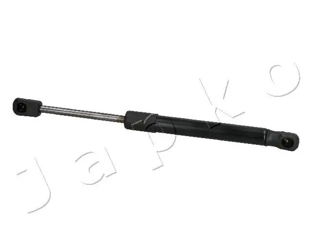 ZSJ05046 Japko