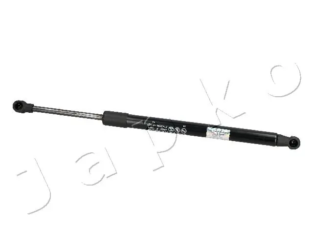 ZSJ10021 Japko