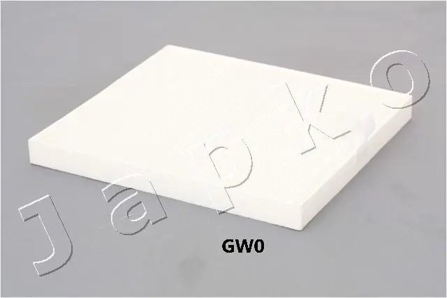 21GW0 Japko