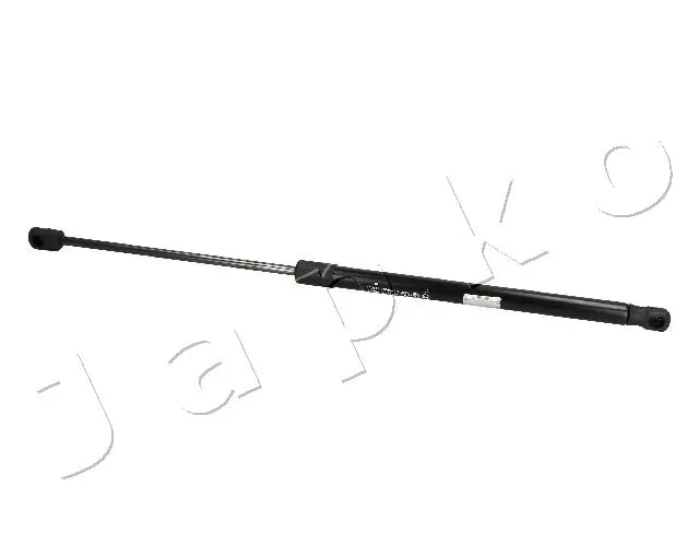 ZSJ05043 Japko