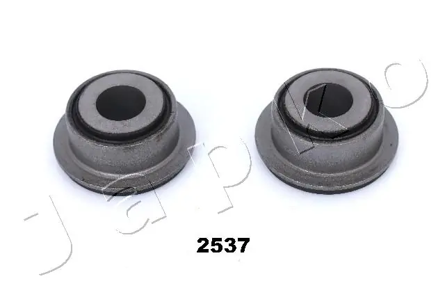 GOJ2537 Japko